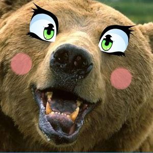 Meet your Posher, Chelsea